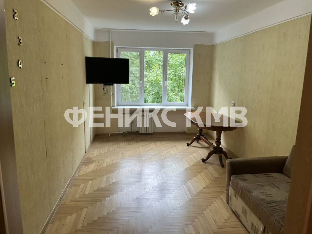 photo_5363848875334563355_y