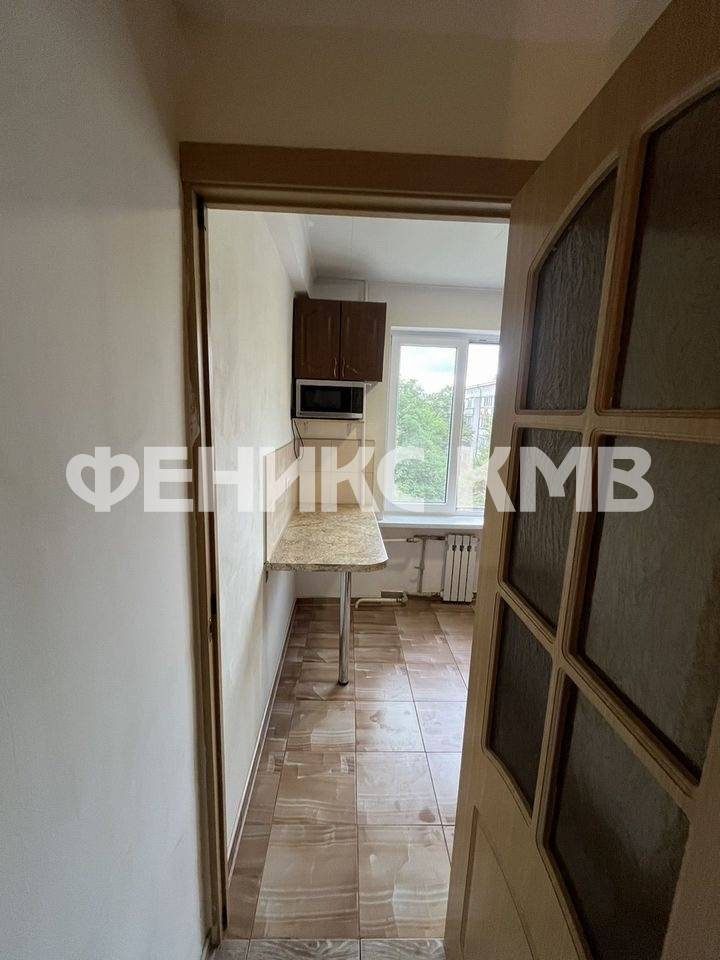 photo_5363848875334563360_y