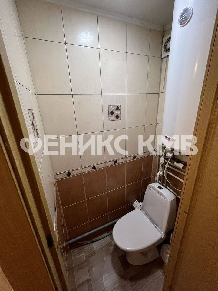 photo_5363848875334563366_y