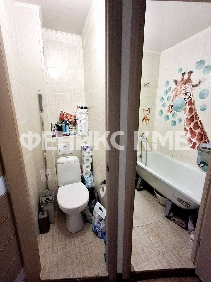 photo_5375481334694277017_y