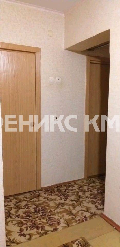 photo_5375481334694277117_y