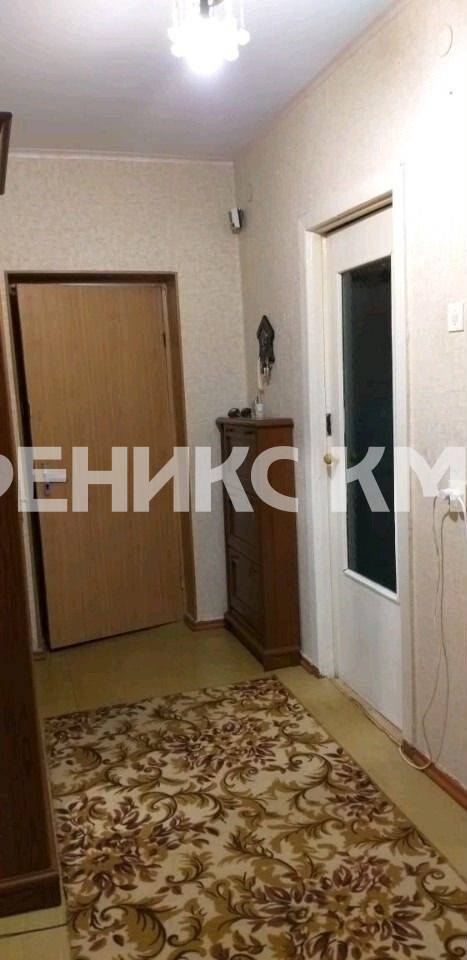 photo_5375481334694277119_y