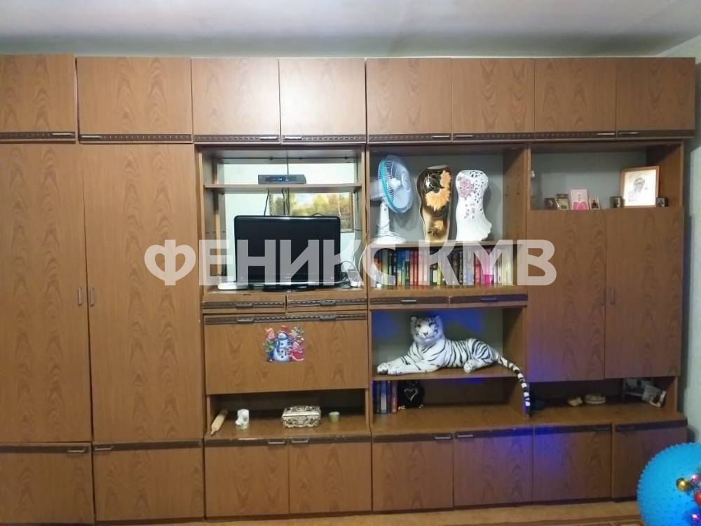 photo_5375481334694277120_y