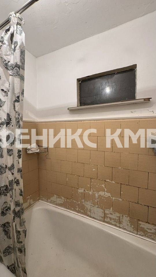 photo_5375584108966704437_y