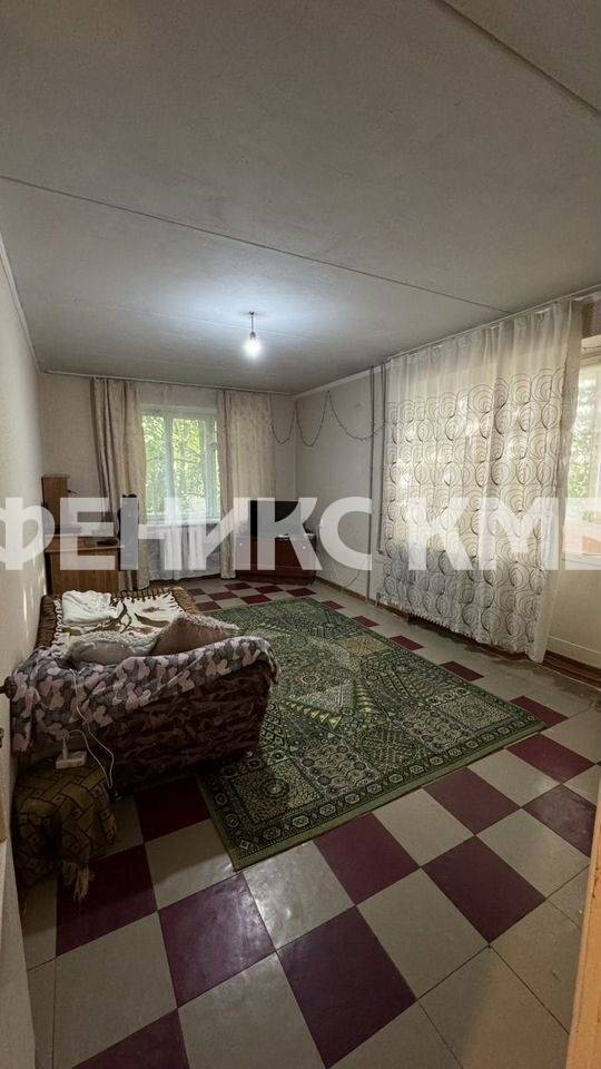 photo_5375481334694277182_y