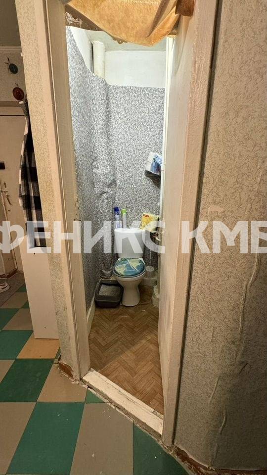 photo_5375481334694277188_y