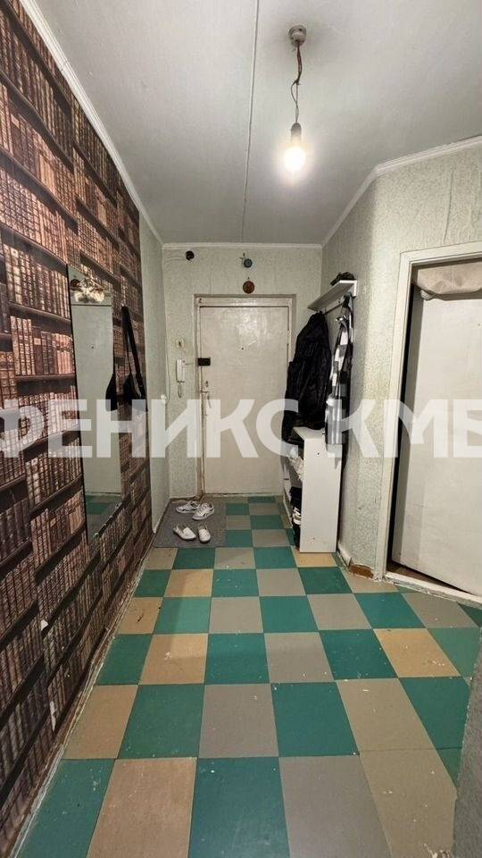 photo_5375481334694277191_y