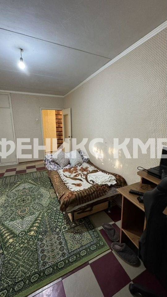 photo_5375584108966704436_y