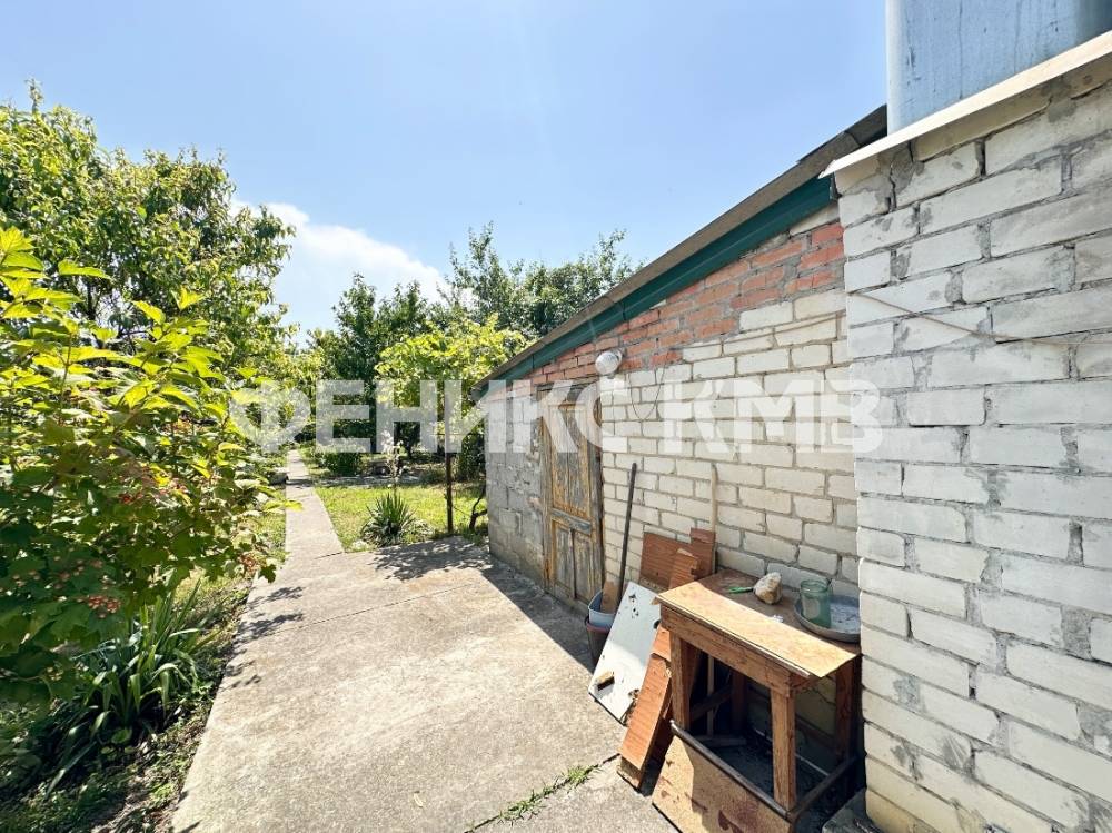 Сад с фруктовыми деревьями