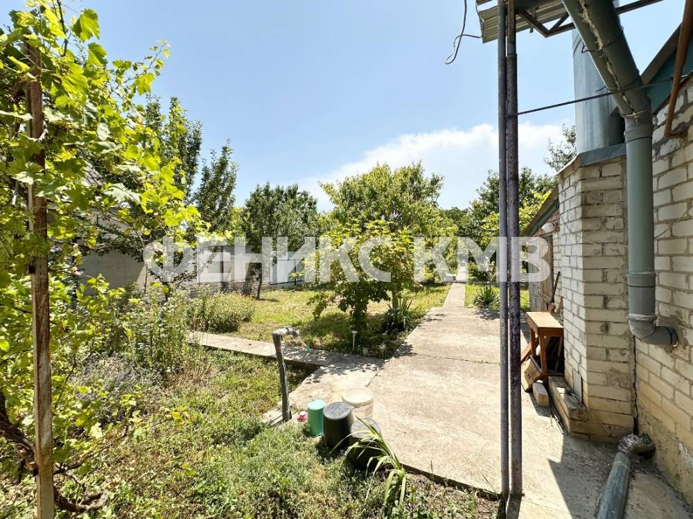 Сад с фруктовыми деревьями