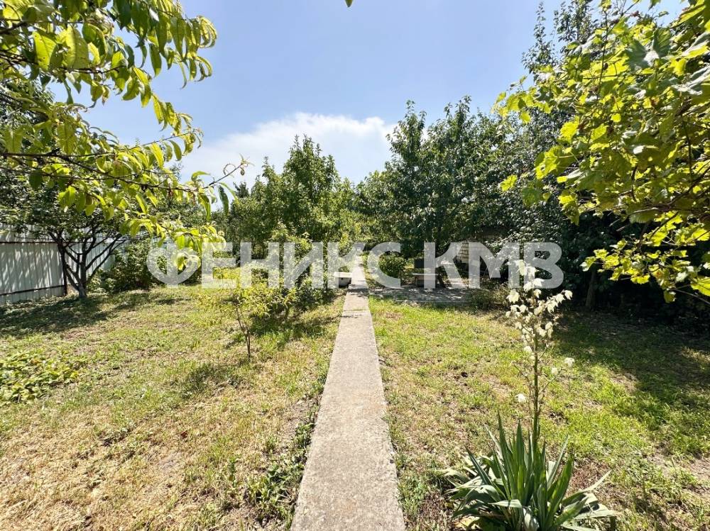 Сад с фруктовыми деревьями