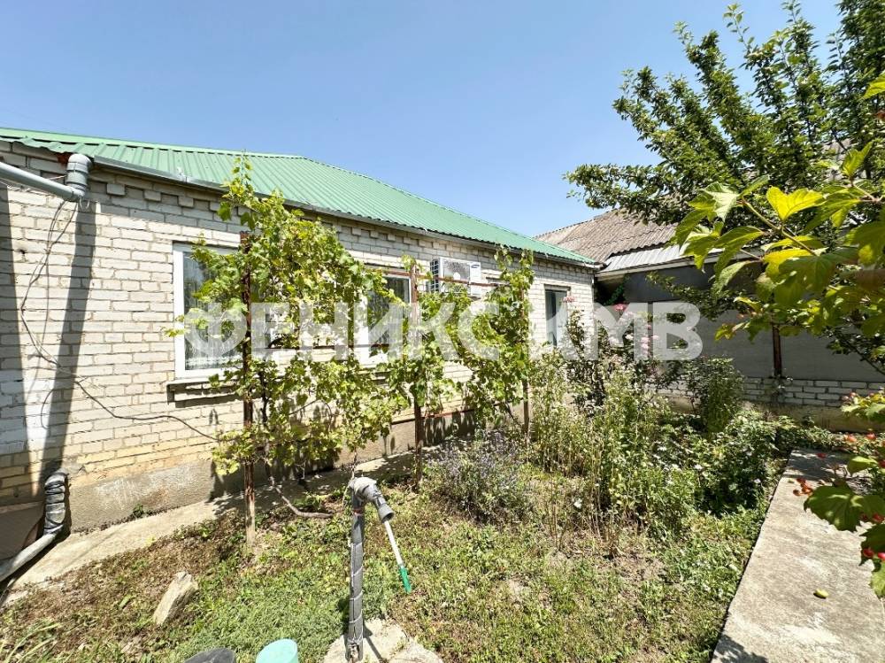 Сад с фруктовыми деревьями