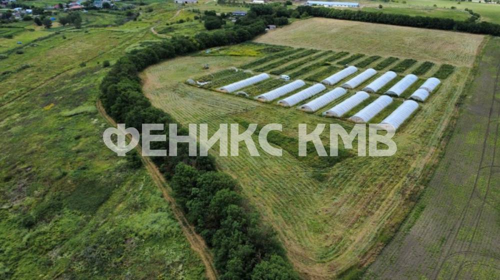 изображение whatsapp 2025-07-17 в 11.46.49_72c3f937