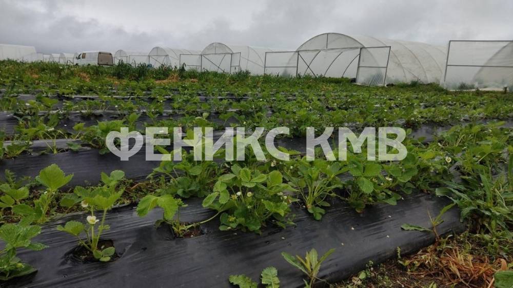 изображение whatsapp 2025-07-17 в 11.46.44_327fe413