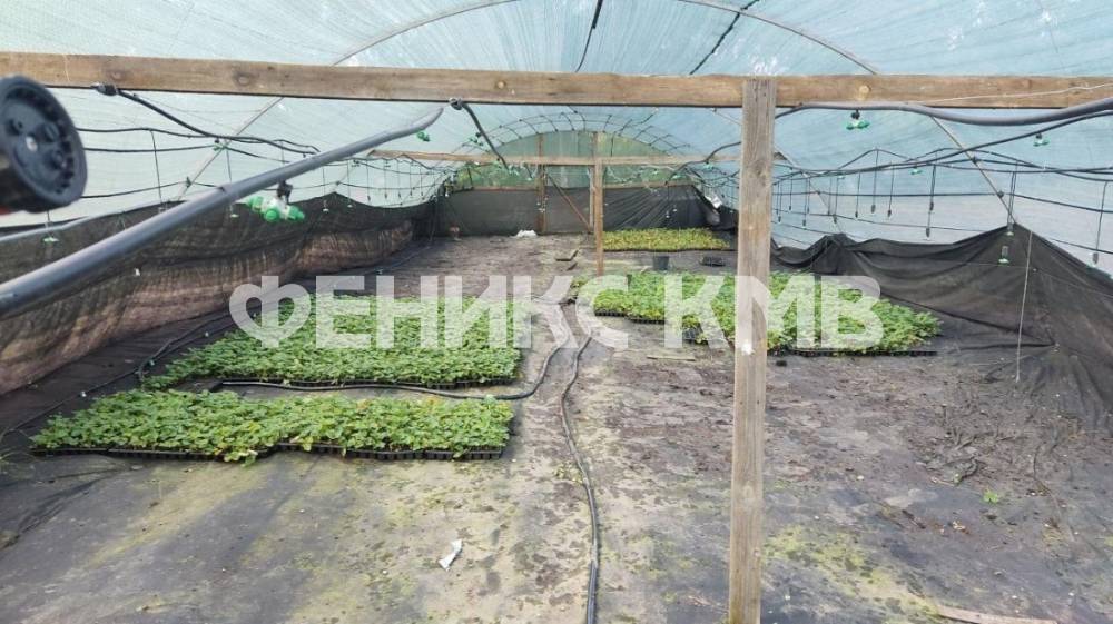 изображение whatsapp 2025-07-17 в 11.46.46_721502f8