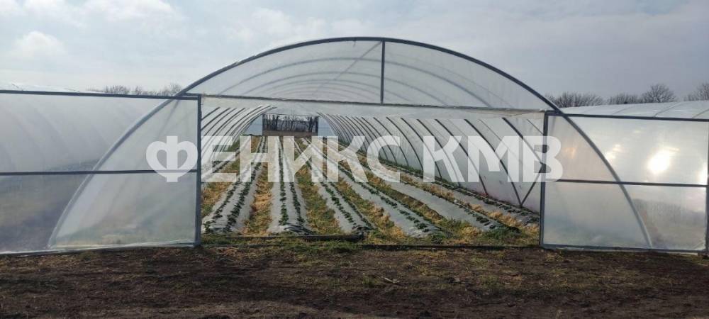 изображение whatsapp 2025-07-17 в 11.46.47_2c735b80