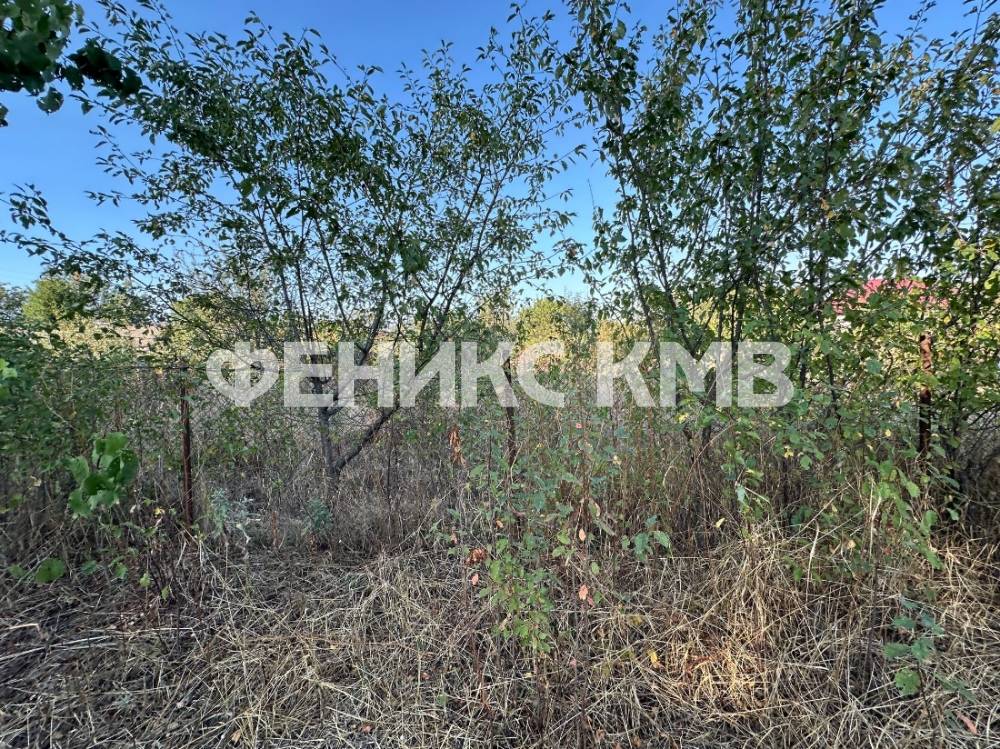 Участок за домом