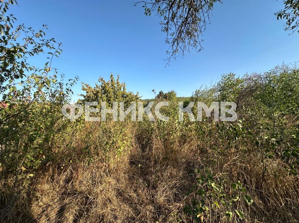 Участок за домом