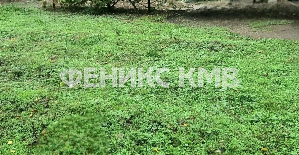 screenshot_20251013_131327_gallery