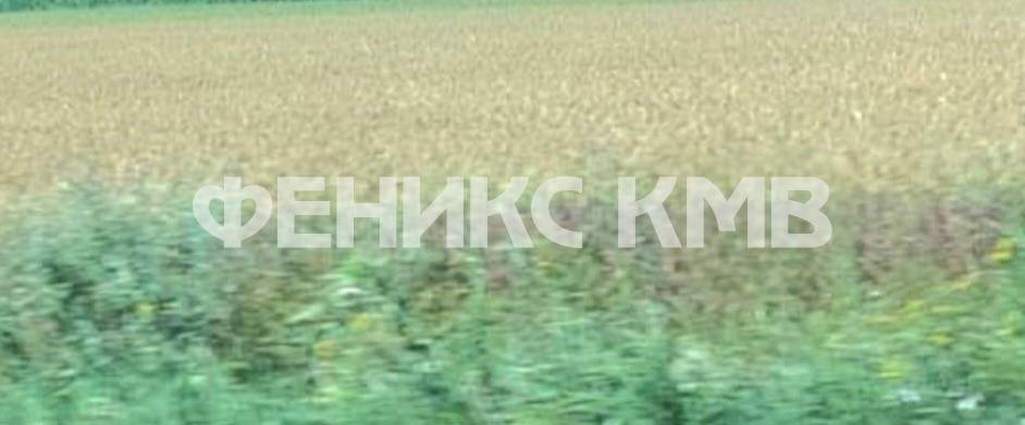 screenshot_20251013_131447_gallery