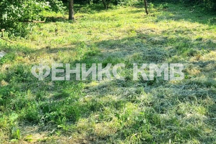 screenshot_20250628_215140_photo editor