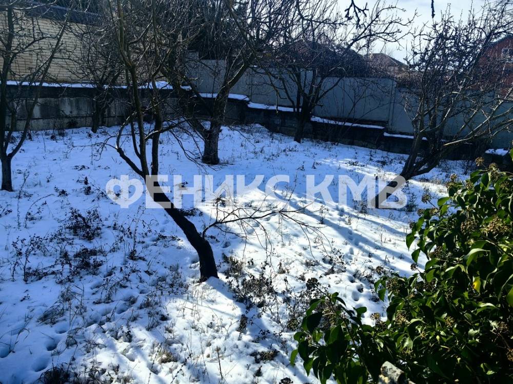 Плодовые деревья