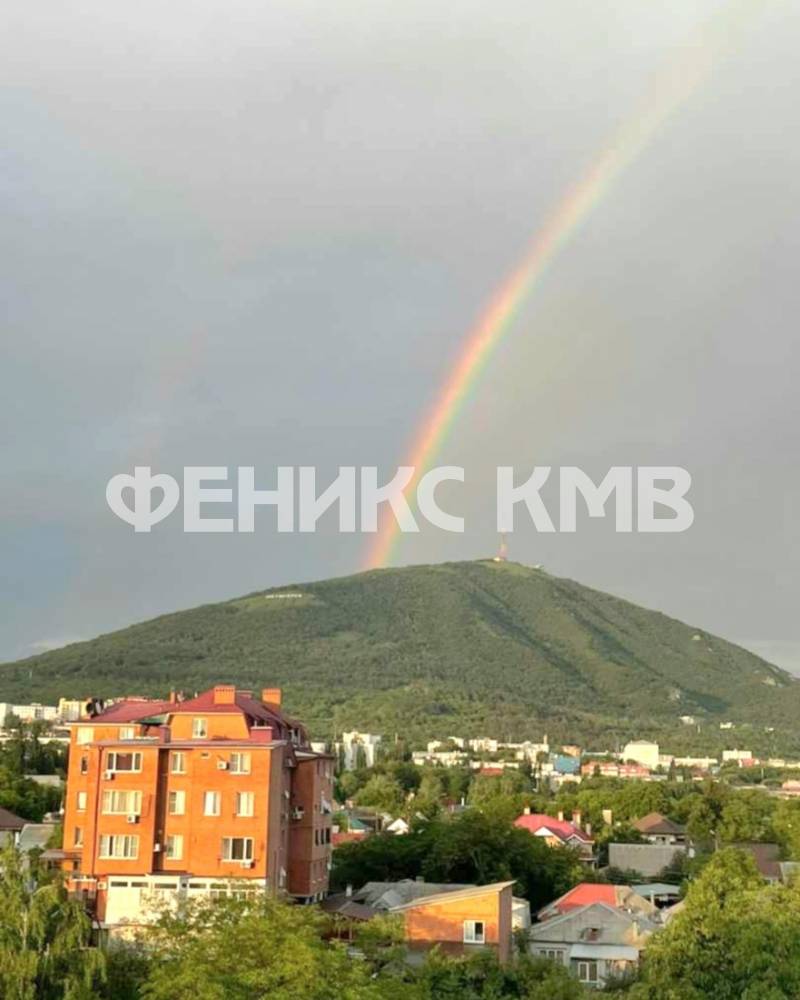 screenshot_20240613_154904_whatsappbusiness