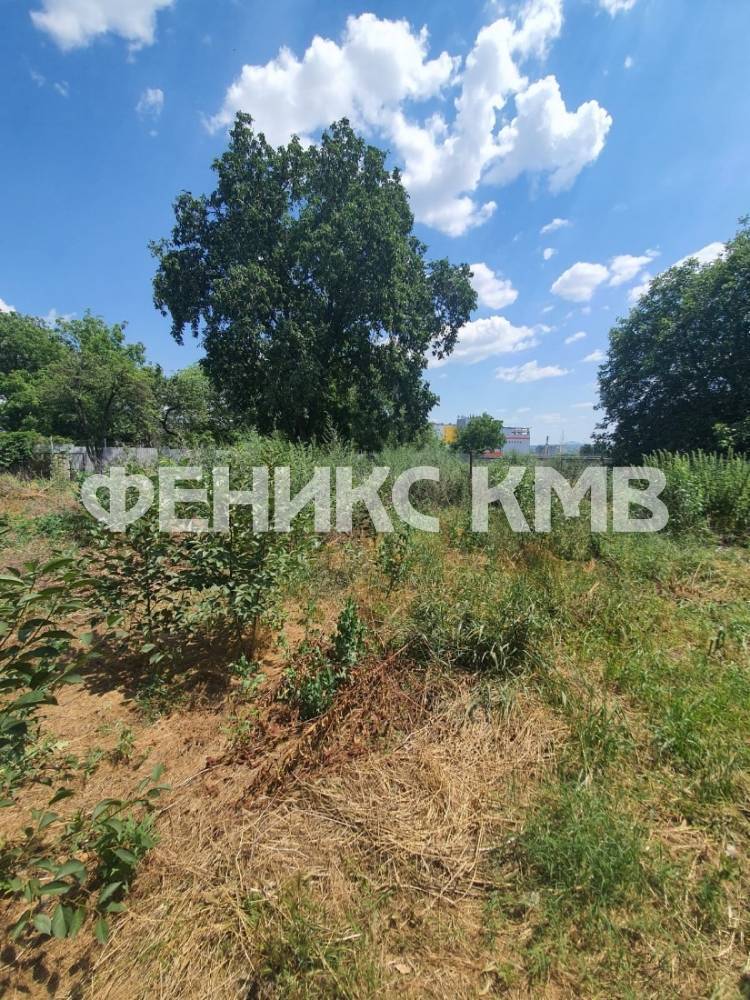 75872497-dec8-4d50-b79a-1985a43832d5