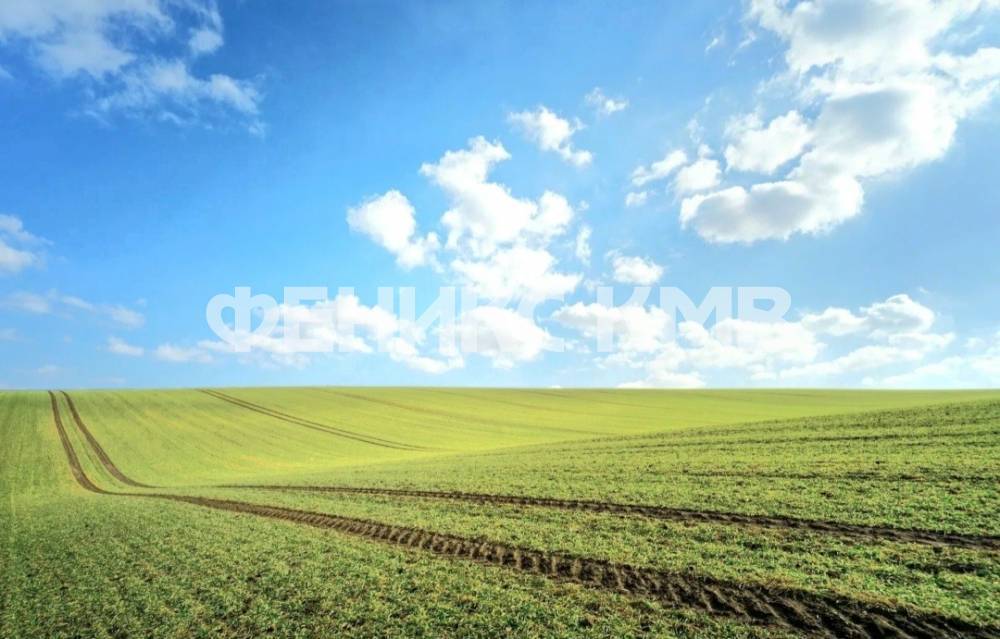 screenshot_20240330_103003_yandex start