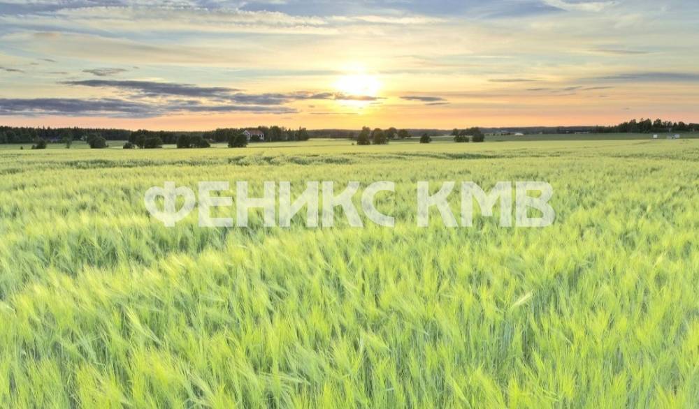 screenshot_20240330_103027_yandex start