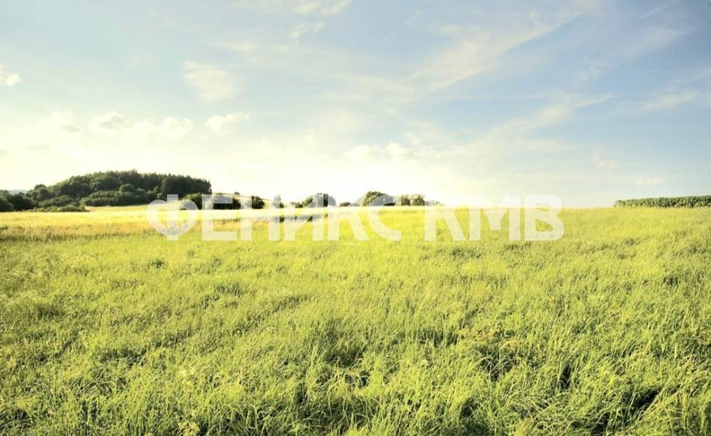 screenshot_20240330_103100_yandex start