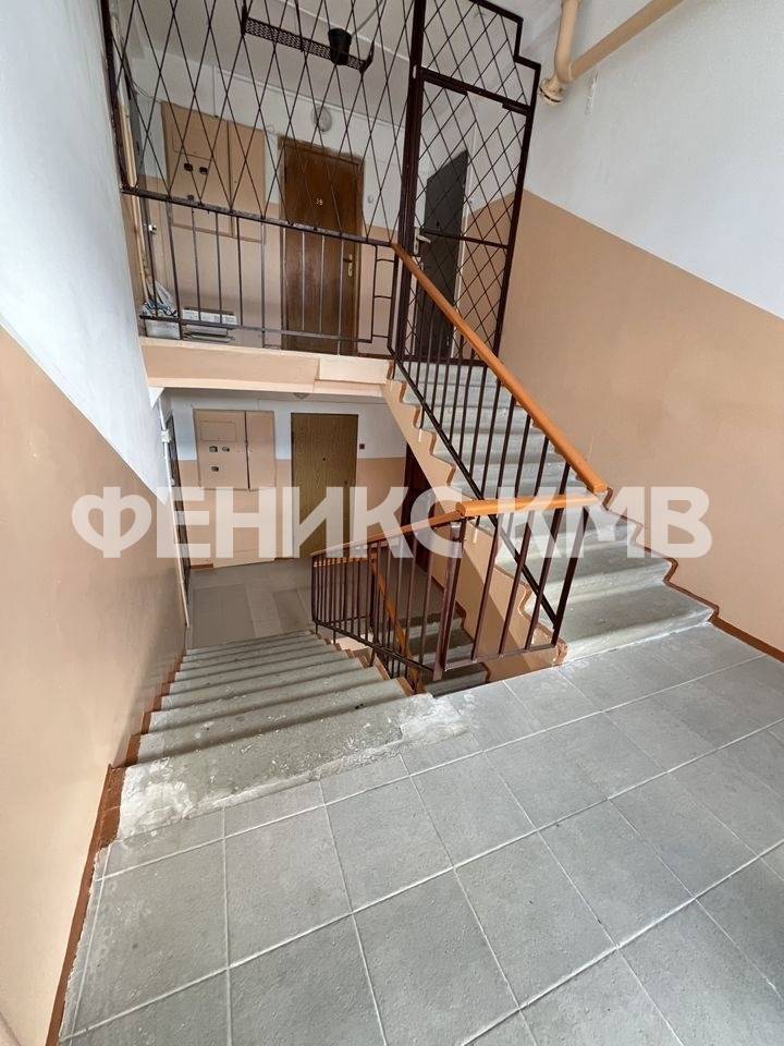 photo_5318912191589637415_y