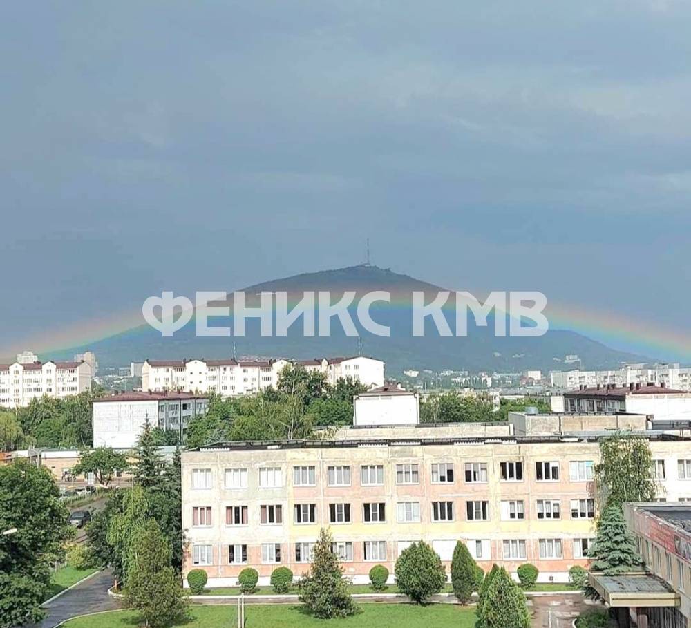 screenshot_20240610_101346_whatsappbusiness