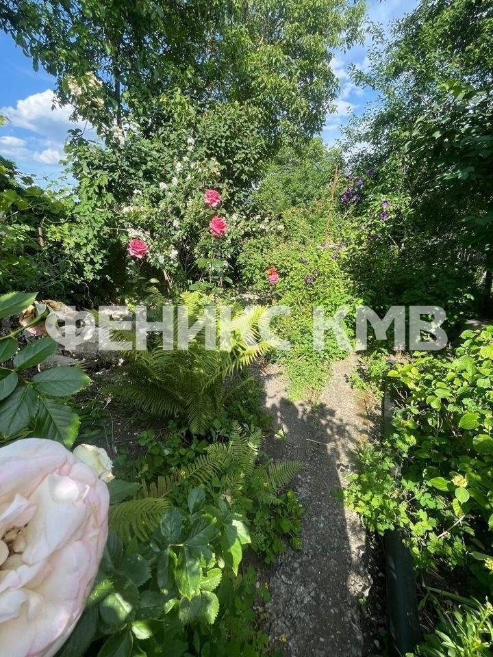 photo_5222328839642931636_y