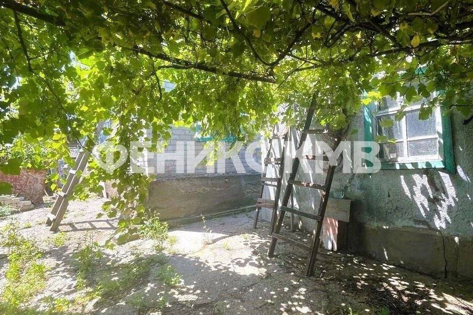 photo_5339169615294620139_y