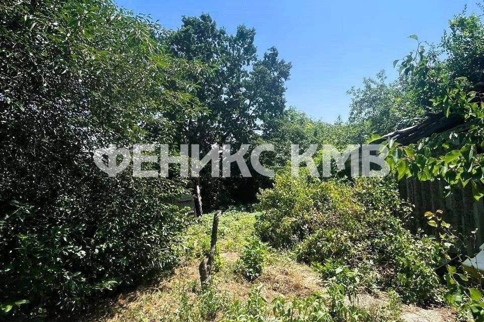 photo_5339169615294620144_y