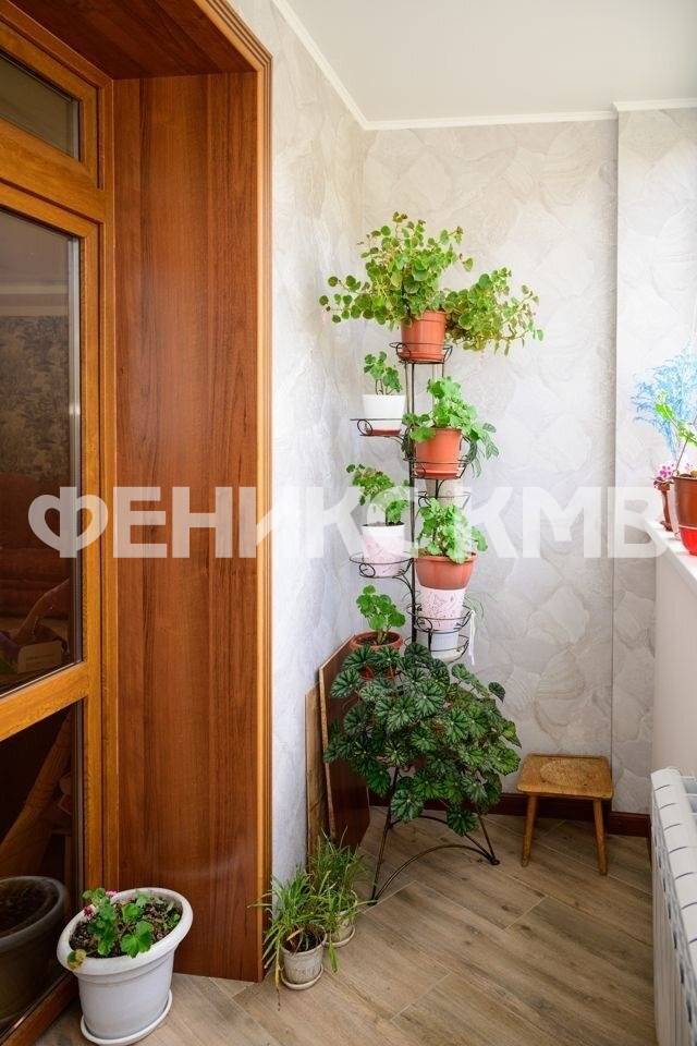 photo_5337203005604355060_y