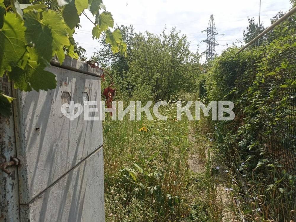 photo_5337203005604355209_y