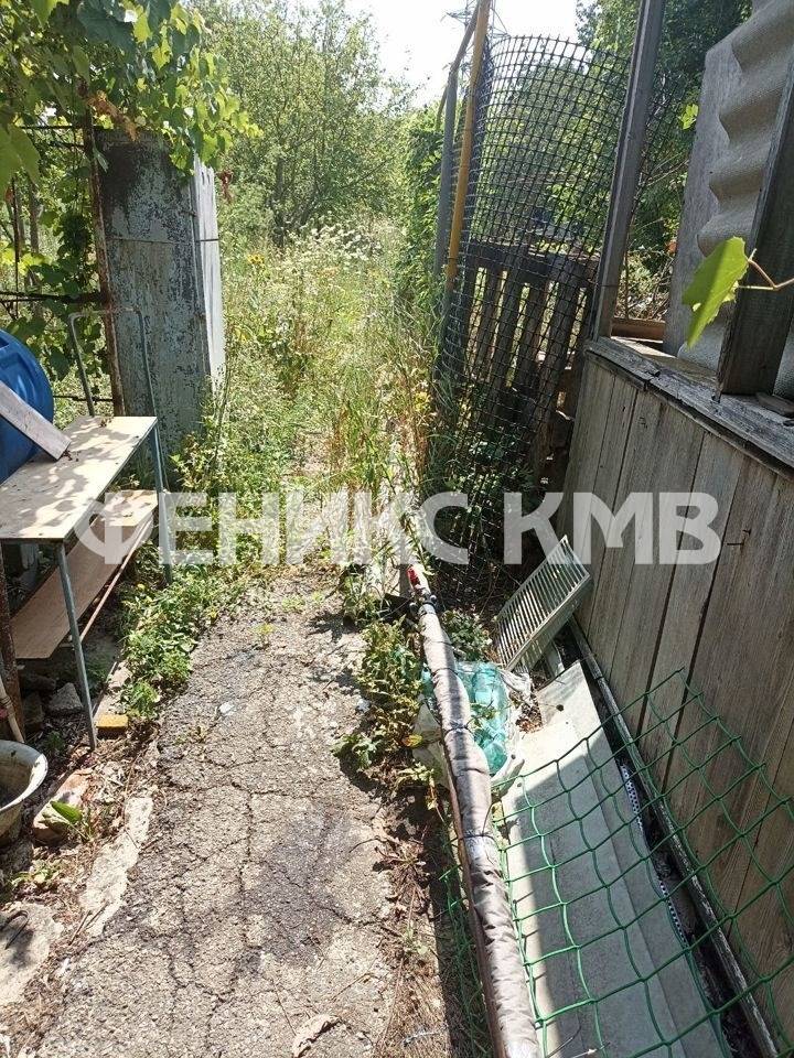 photo_5337203005604355211_y