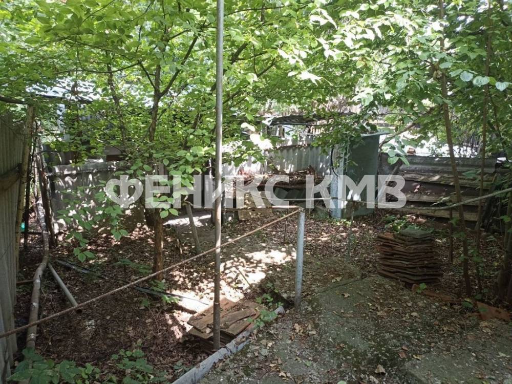 photo_5337203005604355202_y