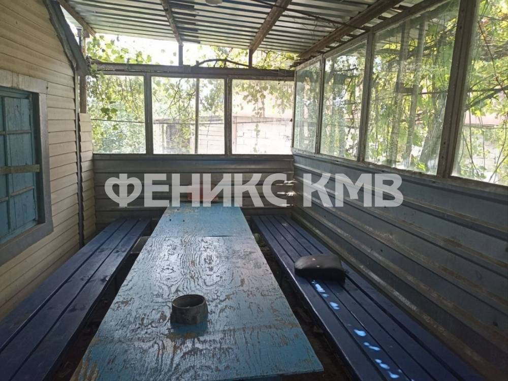 photo_5337203005604355205_y