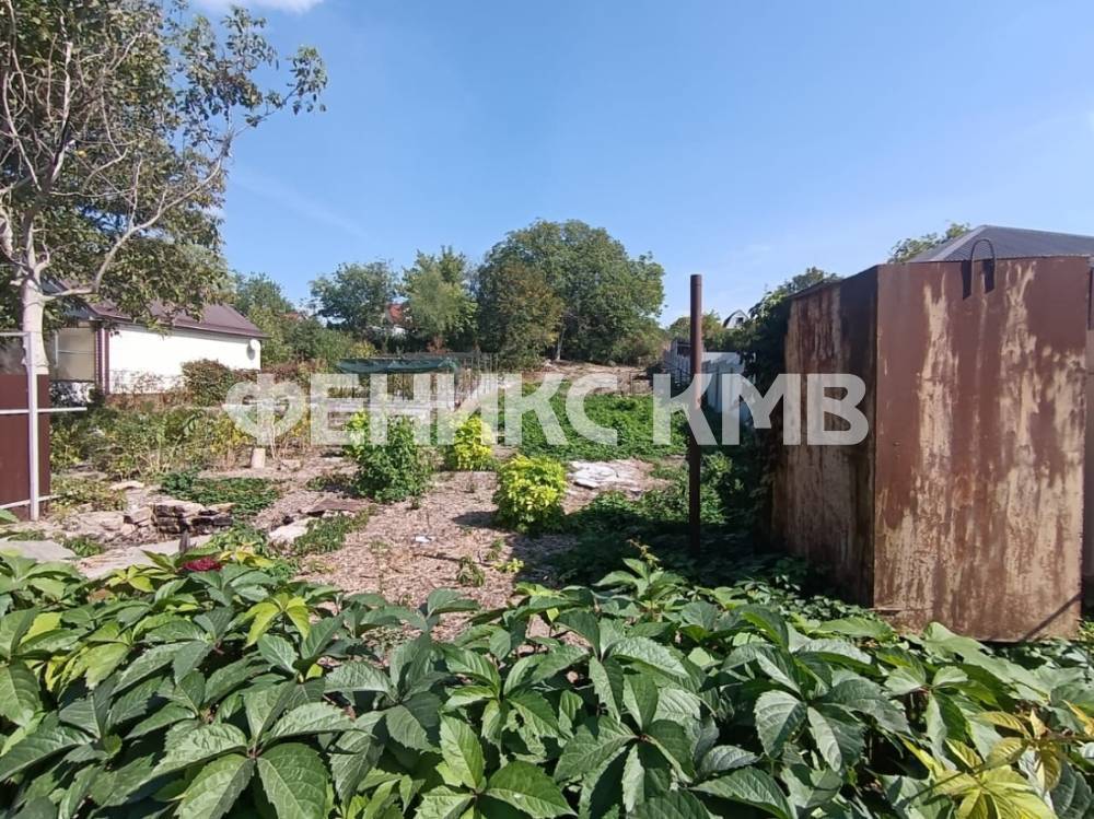 whatsapp image 2024-09-23 at 19.43.16