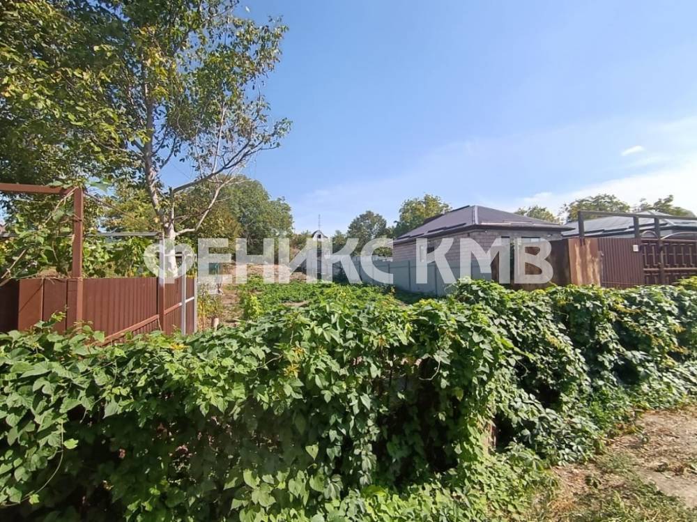 whatsapp image 2024-09-23 at 19.43.17 (1)