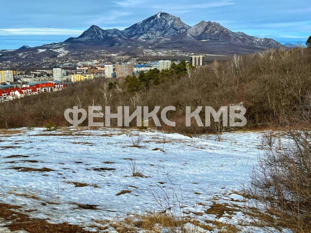 photo_5352742485044096865_y