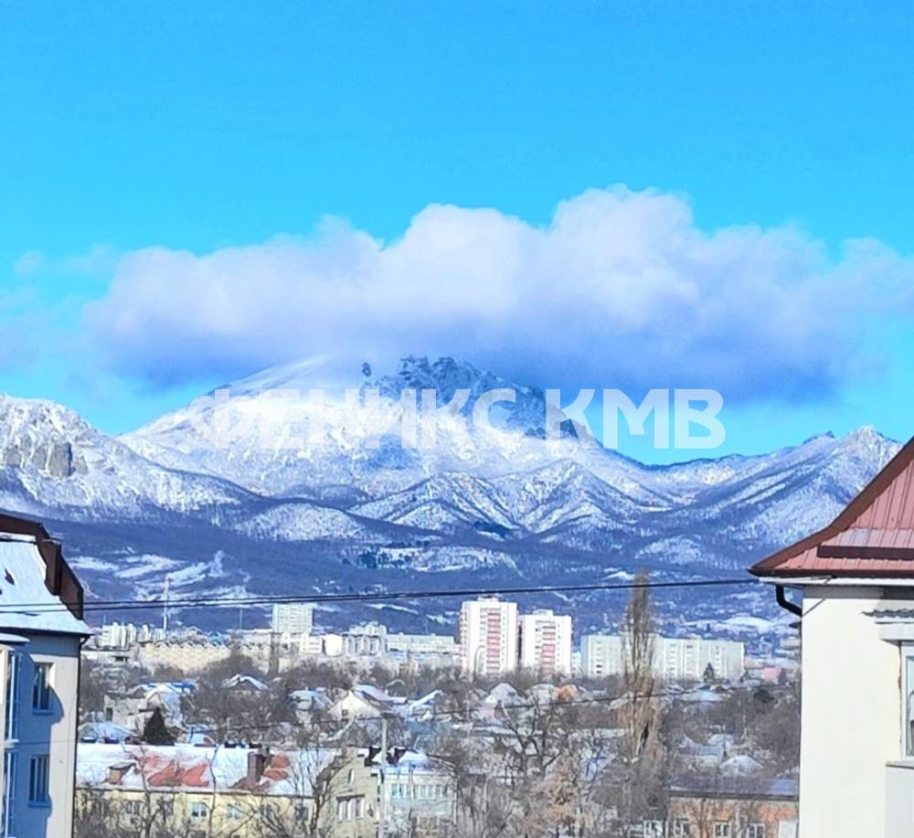 screenshot_20250206_215532_whatsappbusiness