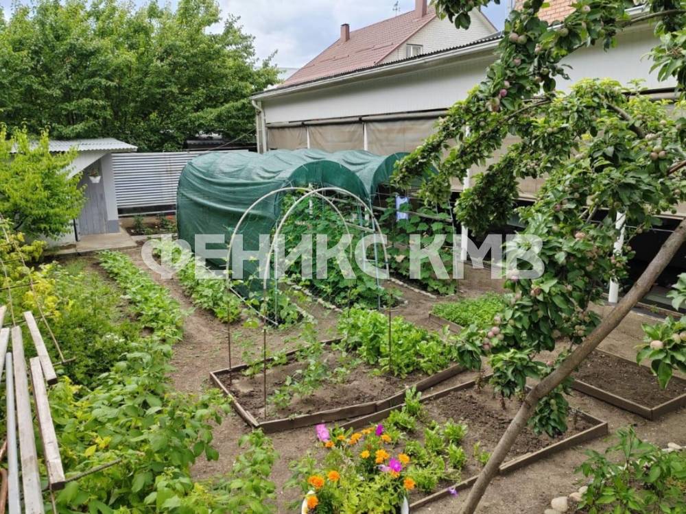 86b2cf97-344d-43f8-b2d3-a2ee5589c942