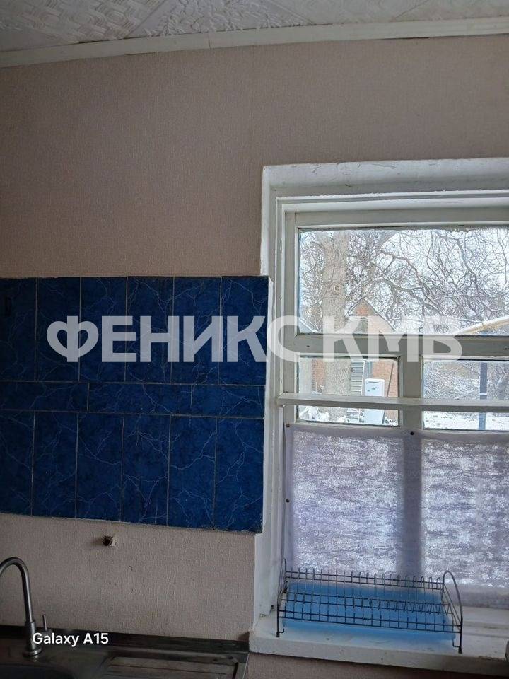 photo_5388802098453408688_y