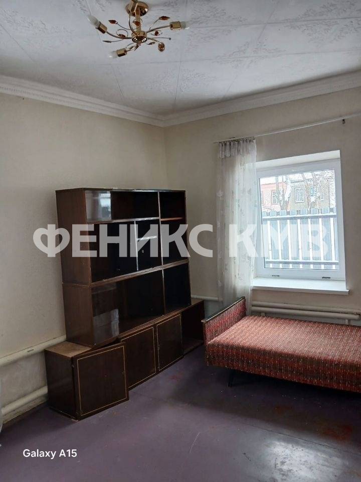 photo_5388802098453408690_y