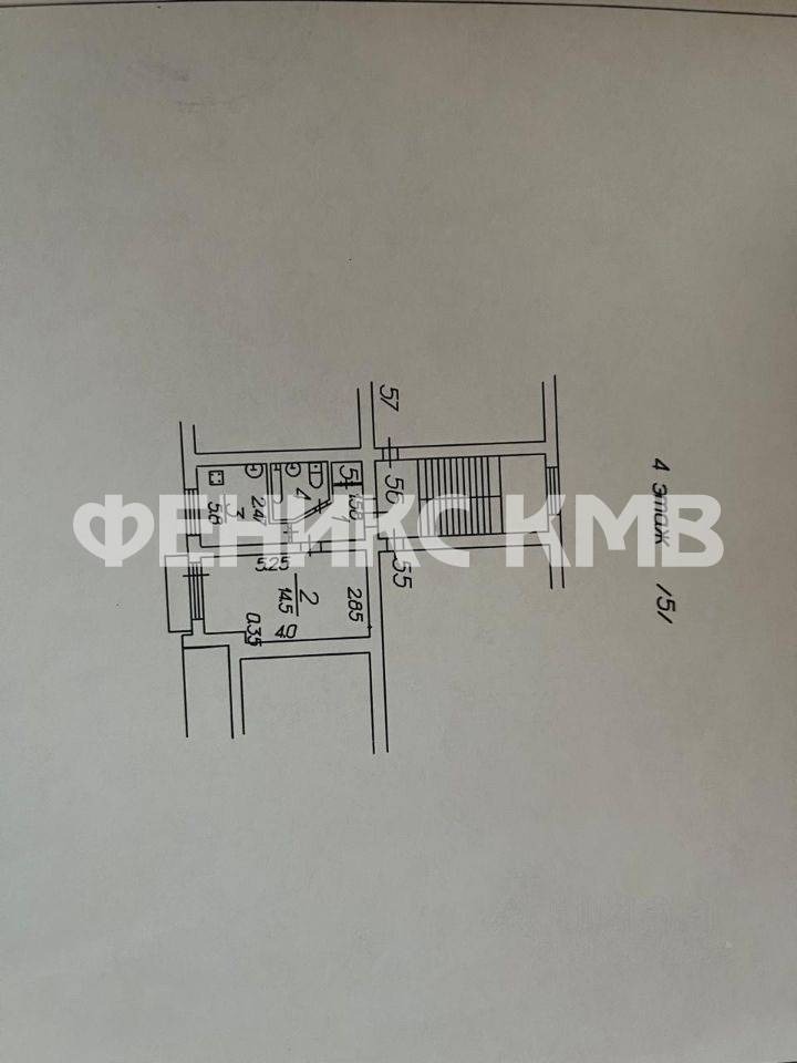 photo_5436324910856269740_y