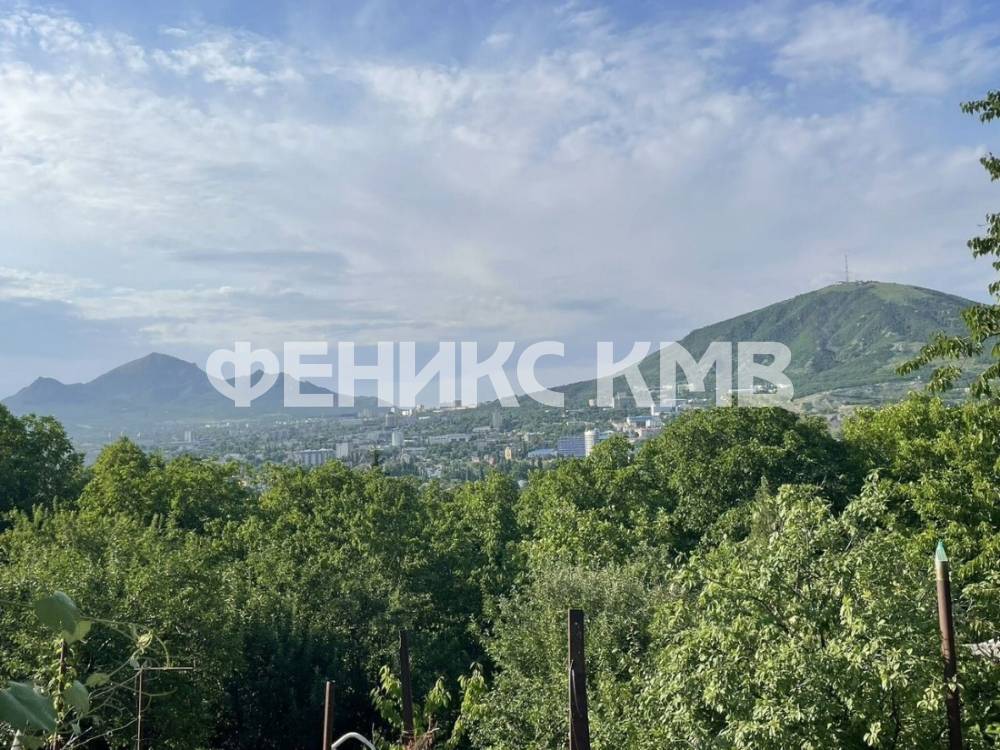 photo_5260483924646293905_y